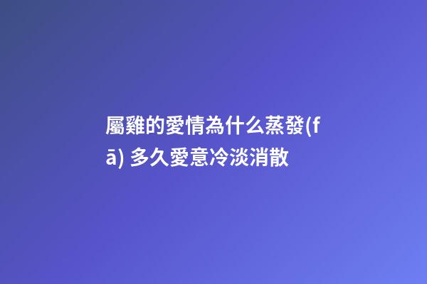屬雞的愛情為什么蒸發(fā) 多久愛意冷淡消散